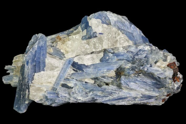 Vibrant Blue Kyanite Crystals In Quartz - Brazil #80385